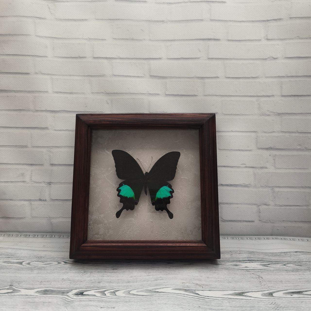 Метелик в рамці Papilio paris