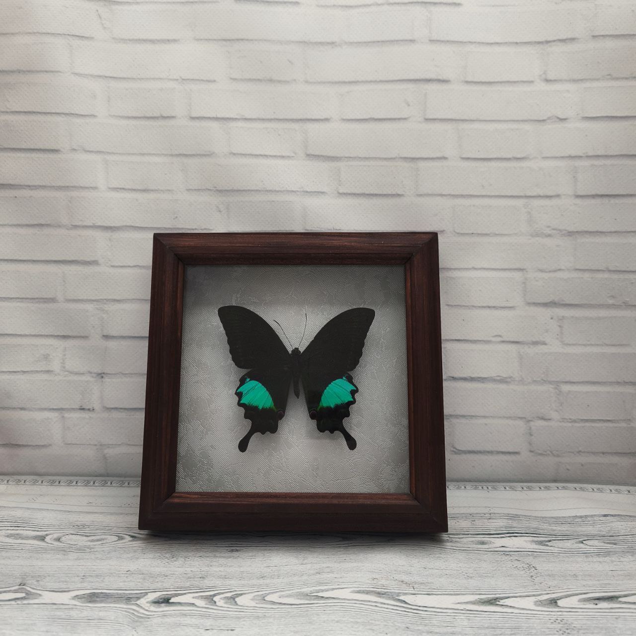 Метелик в рамці Papilio paris